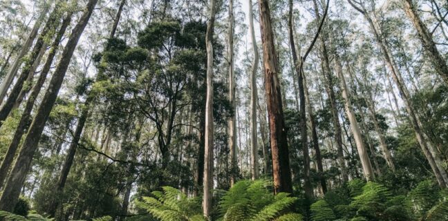 Top 20 Sehenswürdigkeiten von Madagaskar für den Familienurlaub Photo Family hiking