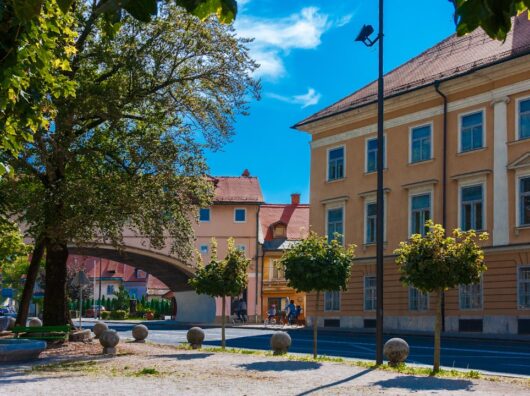 Entdecke die besten Nachhilfeangebote für dich Photo Tutoring center