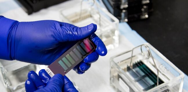 Alles, was du über In-vitro-Fertilisation (IVF) wissen musst Photo IVF lab