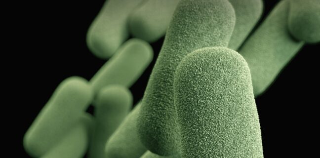 Chlamydien: Was du darüber wissen solltest Photo Microscopic bacteria
