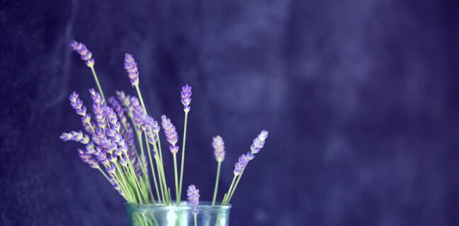 Entdecke die Vorteile der Naturheilkunde Photo Herbal tea