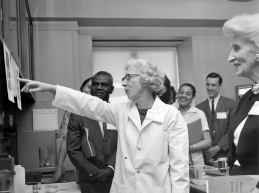 Symptome von sexuell übertragbaren Krankheiten: Was du wissen solltest Photo Medical illustration