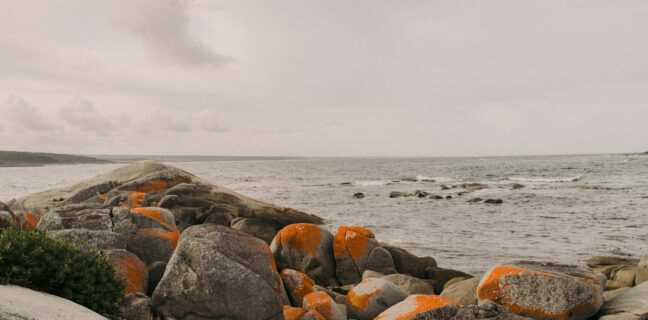 Top 20 Sehenswürdigkeiten von Nordmazedonien für den Familienurlaub Photo Family hiking