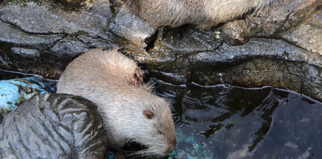 Top 20 Sehenswürdigkeiten von Pakistan für den Familienurlaub Photo Beautiful landscapes