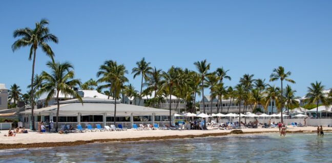 Top 20 Sehenswürdigkeiten von Guadeloupe für den Familienurlaub Photo Beach resort