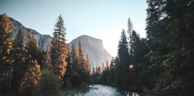Top 20 Sehenswürdigkeiten von St. Lucia für den Familienurlaub Photo Pitons Mountain