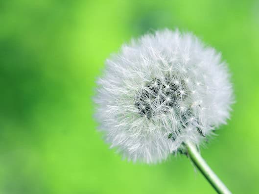 Spontangeburt: Alles, was du darüber wissen musst Photo Natural birth