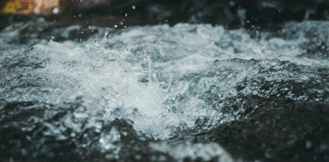 Kryokonservierung: Wie du deine Zellen für die Zukunft bewahrst Photo Liquid nitrogen