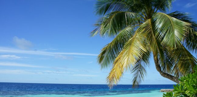 Top 20 Sehenswürdigkeiten von Togo für den Familienurlaub Photo Family at Togo Beach