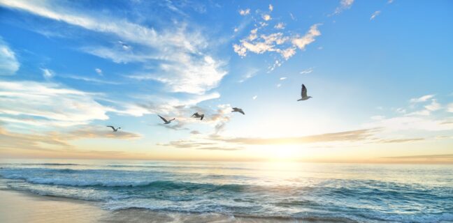 Top 20 Sehenswürdigkeiten von Kiribati für den Familienurlaub Photo Family enjoying beach