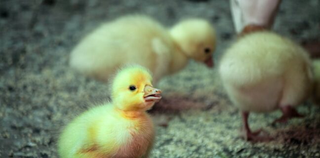 Geburt im Wasser: Meine Erfahrung und Tipps Photo Water birth