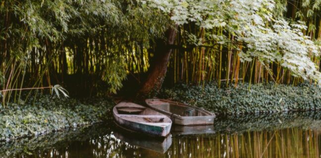 Hochzeitsdeko: Tipps für deine perfekte Hochzeitsfeier Photo Floral arrangements