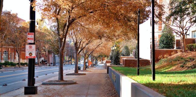 Wie du als ausländischer Student in Deutschland erfolgreich studieren kannst Photo University campus