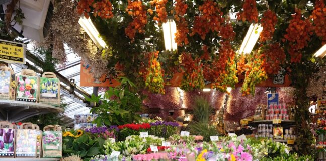 Ausbildung als Verkäufer: Alles, was du wissen musst Photo Retail store