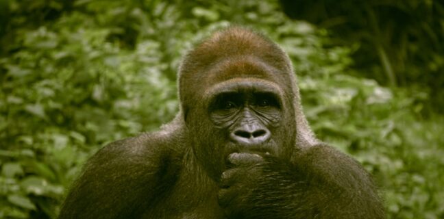 Meine Ausbildung zum Tierpfleger: Alles was du wissen musst Photo Animal care