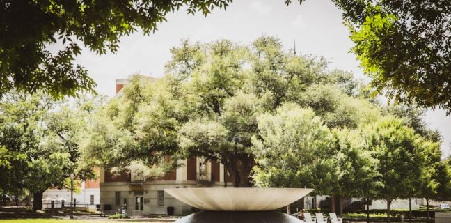 Studium für Ausländer in Deutschland: Alles, was du wissen musst Photo University campus