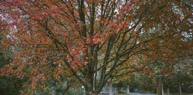 Brustmassage beim Stillen: Tipps für dich Photo Breastfeeding massage