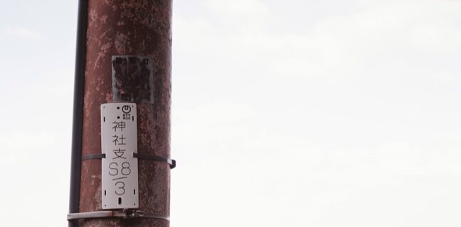 Warum hast du zu viel Muttermilch? Photo Breast pump