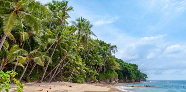 Meine unvergessliche Hochzeitsreise Photo Tropical beach