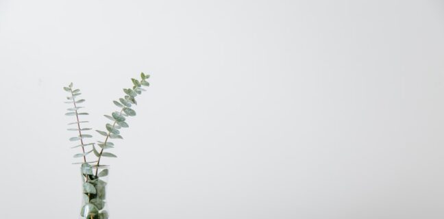 Du kannst dich mit Stillvorbereitung auf die Ankunft deines Babys vorbereiten Photo Quiet room