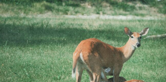 Ausbildung zum Pflegehelfer: Alles, was du wissen musst Photo Nursing assistant