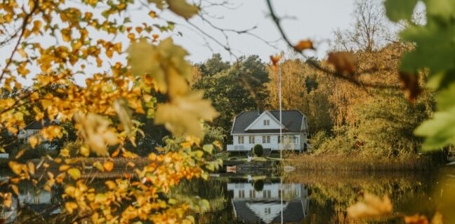 Autismus und Narzissmus: Wie du die Verbindung verstehen kannst Photo Mirror reflection