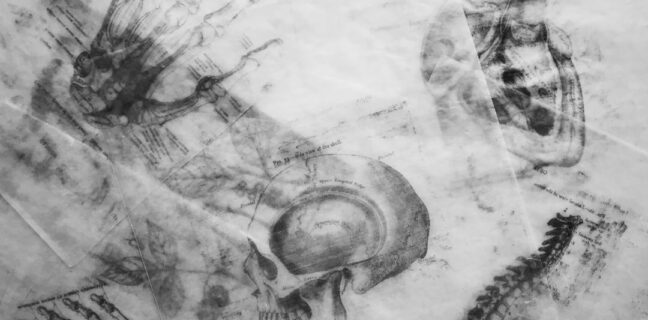 Warum die Beckenendlage bei der Geburt wichtig ist Photo Medical illustration