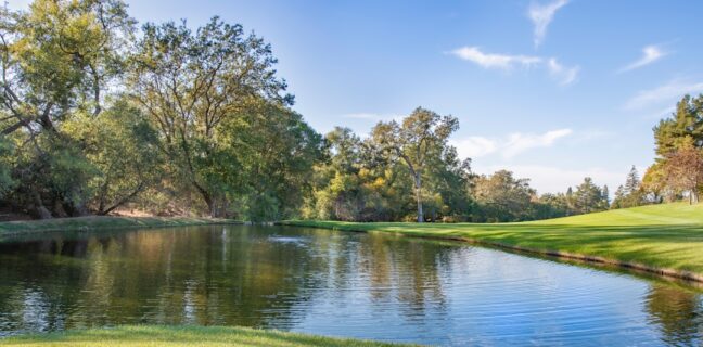 Finde deine Hebamme mit Hebammenfinder Photo Midwife directory