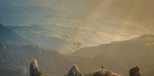 Finde deine perfekte Hebamme mit der gkv Hebammenliste Photo Midwife directory