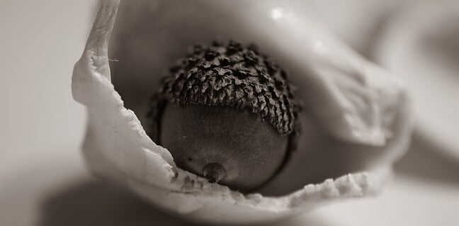 Alles, was du über vaginale Geburt wissen musst Photo Vaginal birth