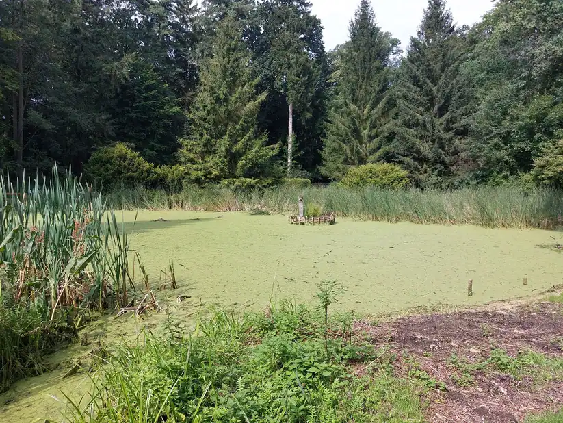 Im Stadtpark von Neuruppin