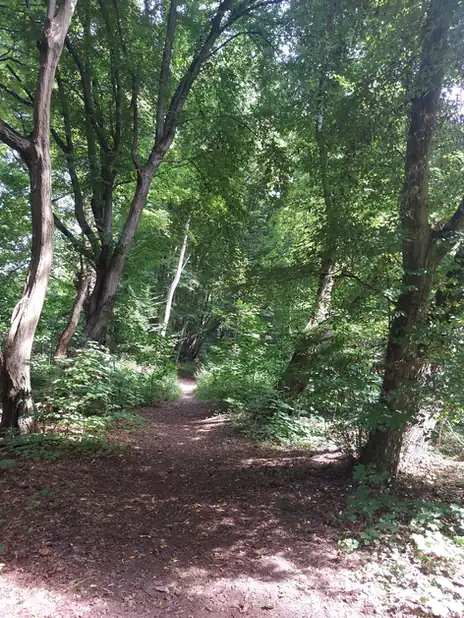 Im Stadtpark von Neuruppin