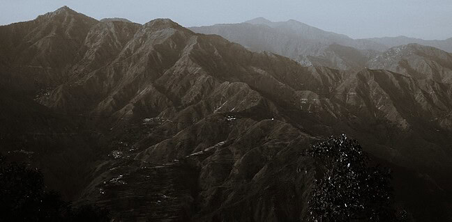 Ingrid van Bergen: Du und deine Deutschkenntnisse Photo Ingrid van Bergen