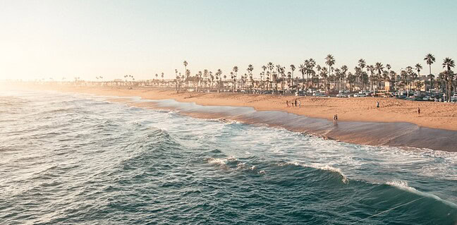 Petition: Böllerverbot – Schützen wir unsere Umwelt! Photo böllerverbot