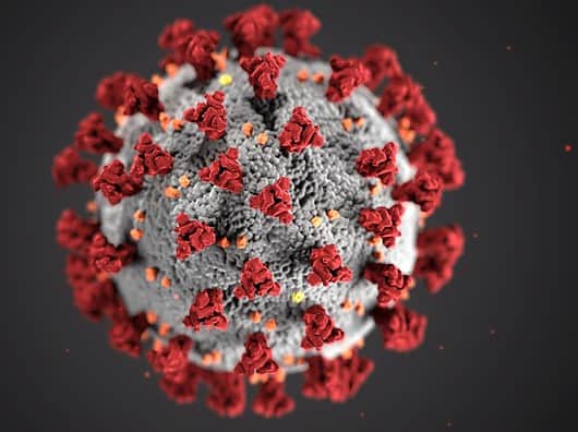 Alles über Adenovirus Erkältung: Symptome und Behandlung Photo adenovirus cold