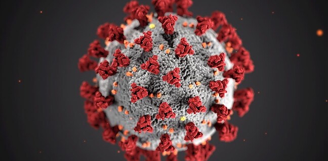 Alles über Adenovirus Erkältung: Symptome und Behandlung Photo adenovirus cold
