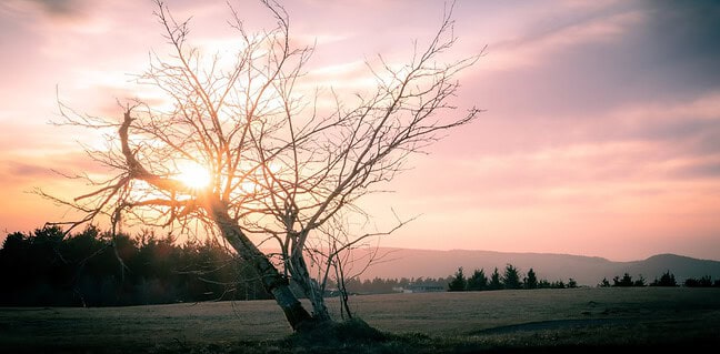 Entdecke die Wasserkuppe: Ein Paradies für Outdoor-Abenteuer! Photo wasserkuppe