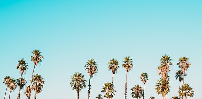 DKMS: Wie du Leben retten kannst Photo dkms