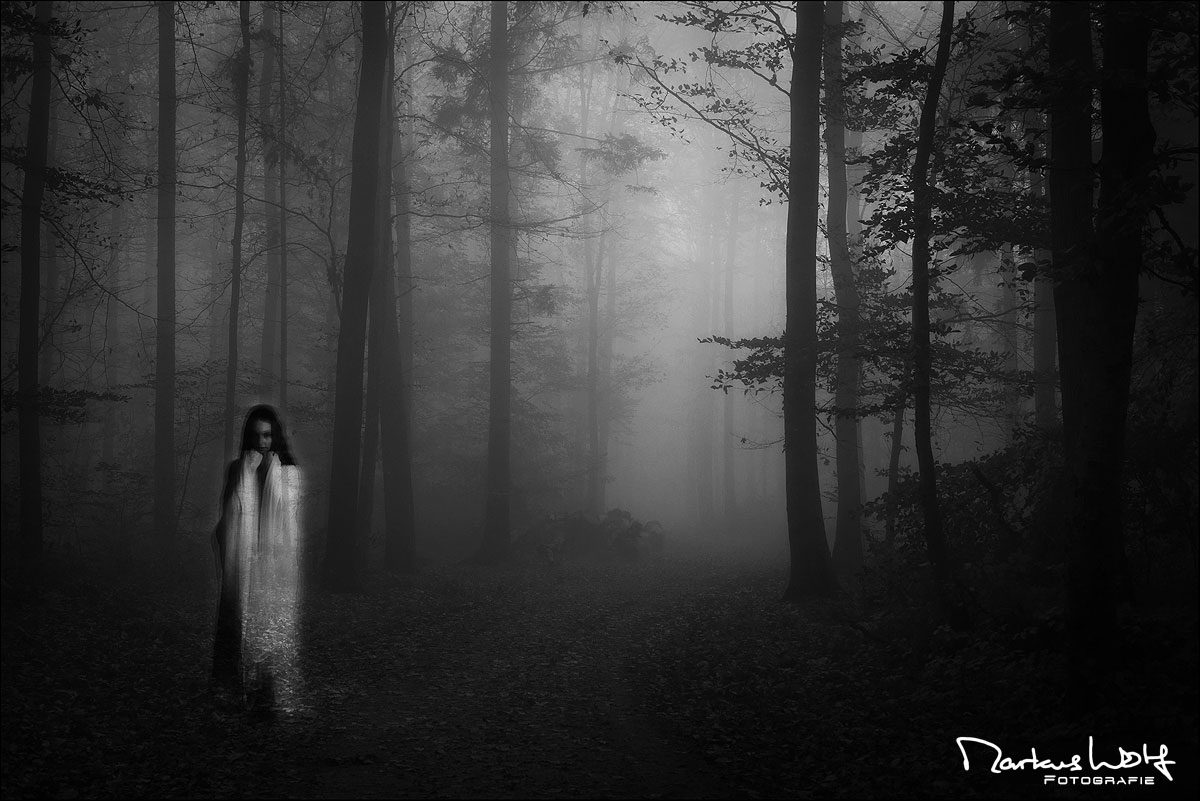 Markus Wolf Fotografie Fotograf Composing Photoshop