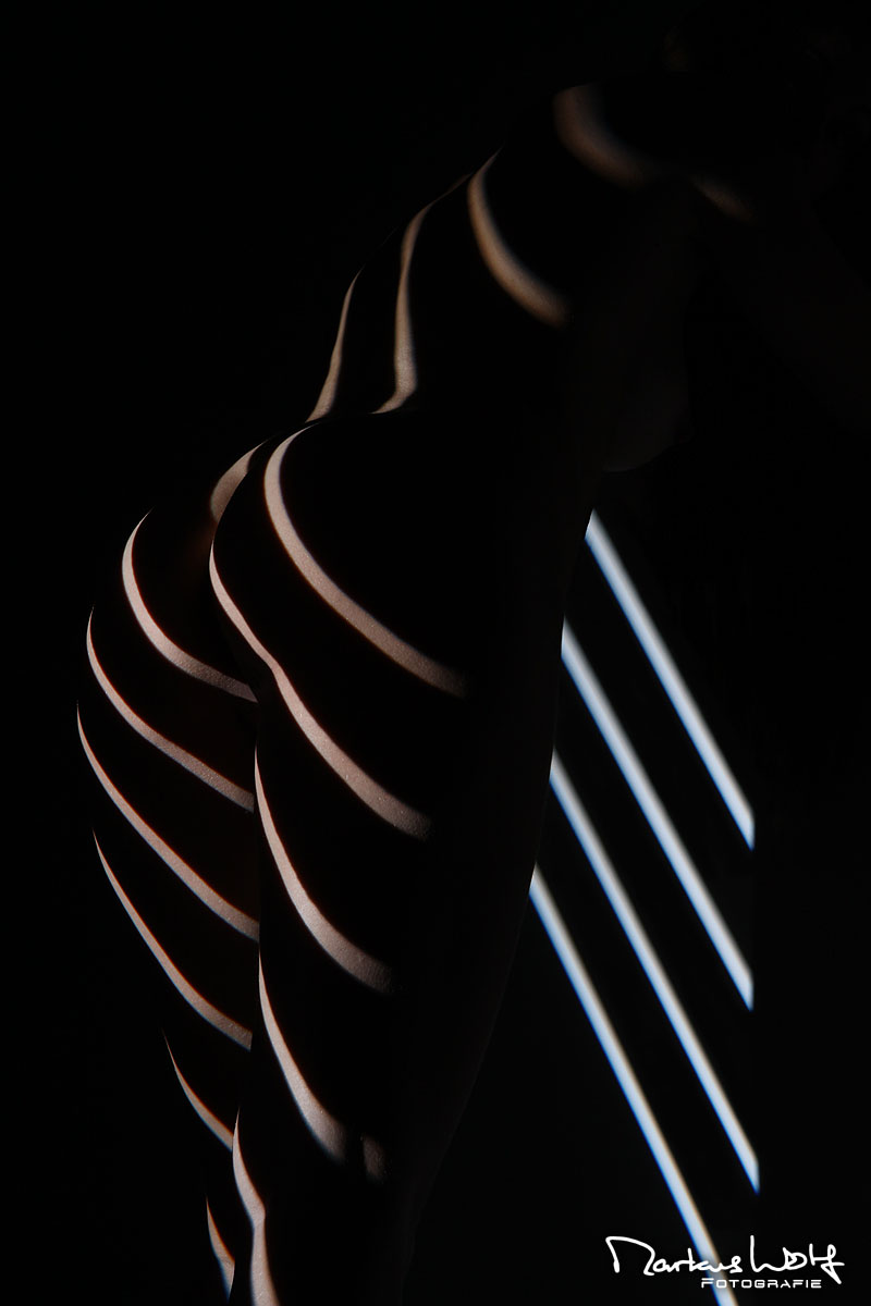 Markus Wolf Fotografie Fotograf Akt Teilakt Dessous