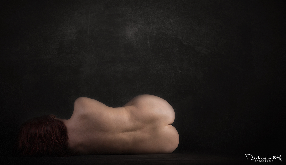 Markus Wolf Fotografie Fotograf Akt Teilakt Dessous