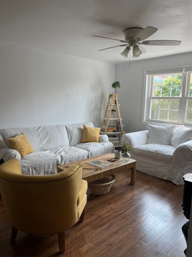 home-organization-staging-living-room-7 professional home organizers