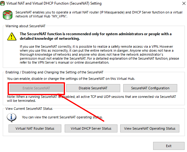 SoftEther Secure NAT
