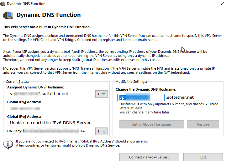 SoftEther Dynamic DNS Function
