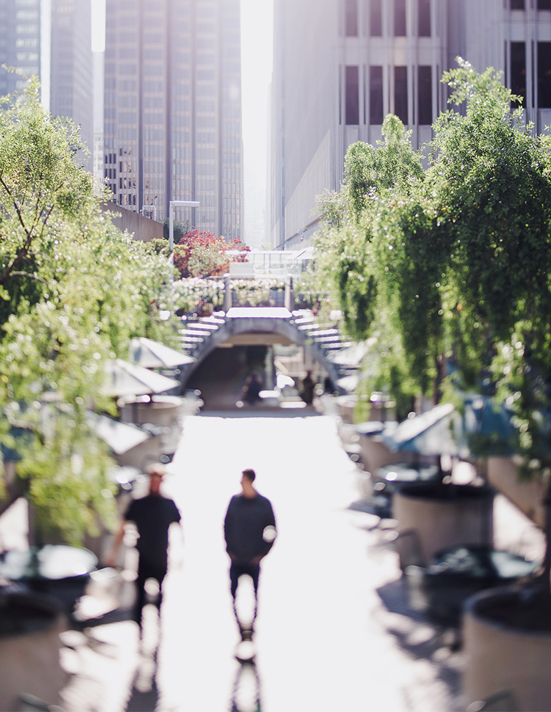 img19 digital-marketing