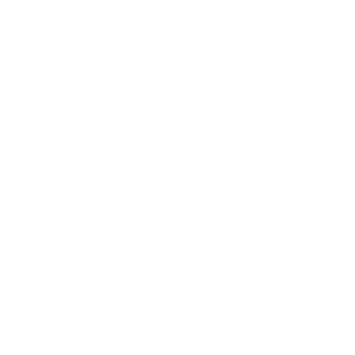 Conduct Regular Audits Timeline Icon