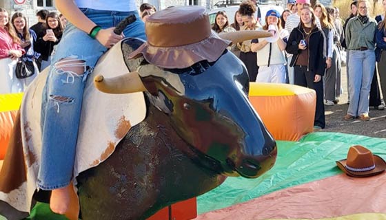 location taureau mecanique gers location taureau mecanique gers