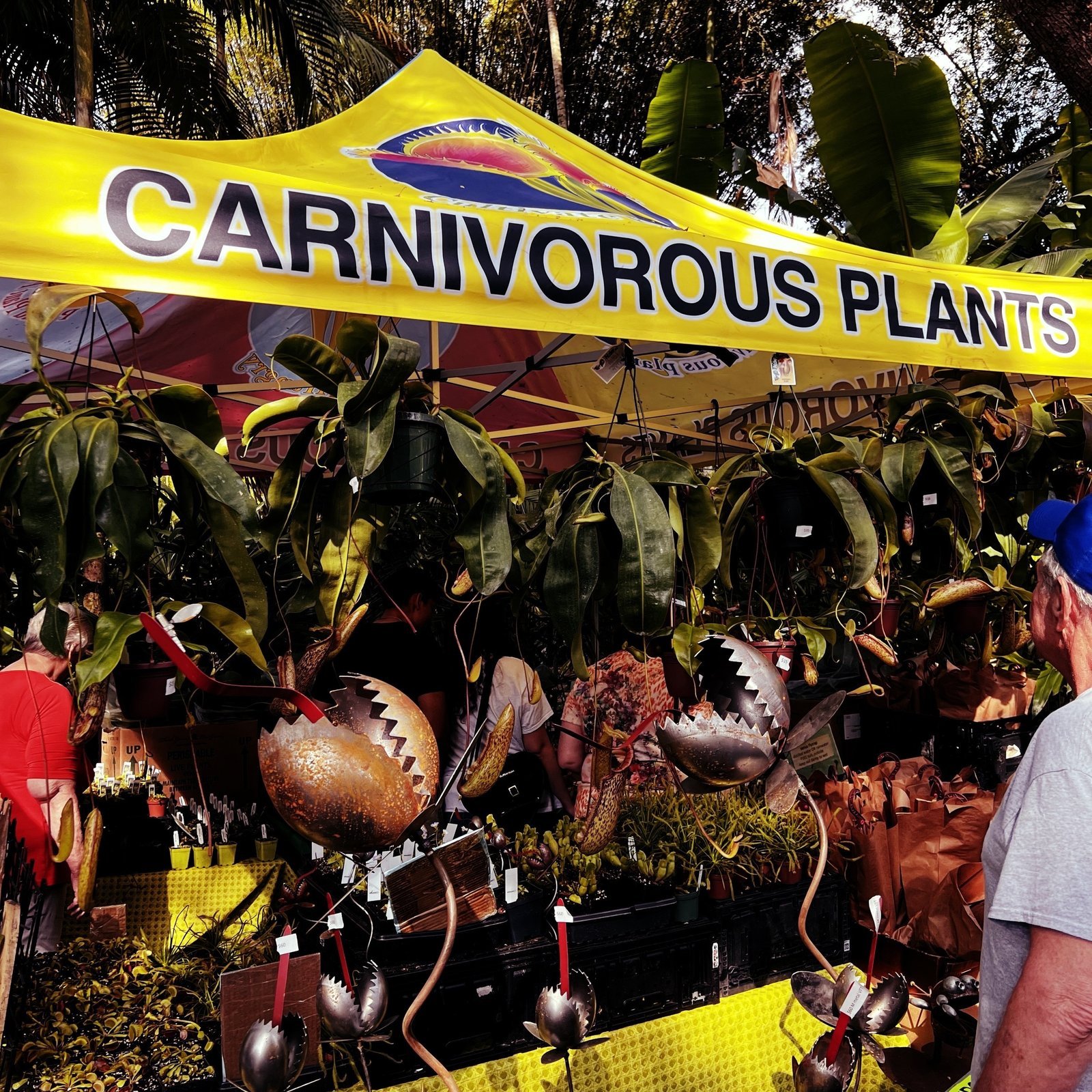 carnivorous plants.jpeg A vendor tent at a plant show with the text CARNIVOROUS PLANTS on top and said plants below it