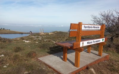 426087295_381274851315365_2583663169124502044_n