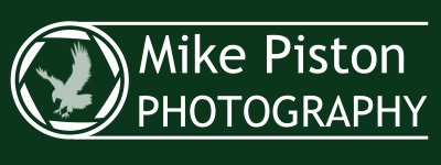 MPP Logo Dark Logo of Mike Piston Photography with an eagle illustration inside a camera shutter icon on a dark green background.